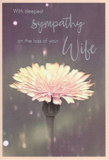 Picture of WITH DEEPEST SYMPATHY WIFE CARD